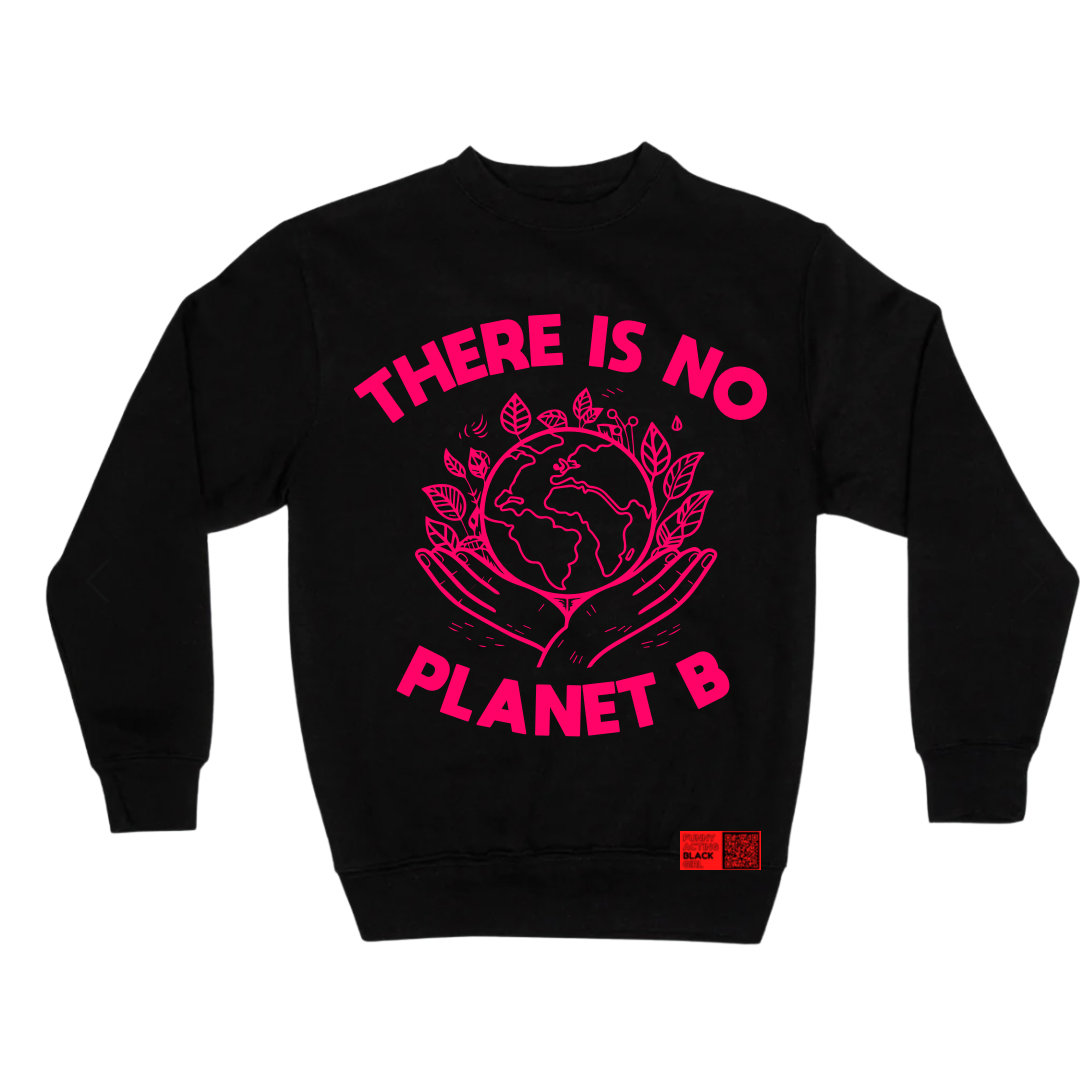 There Is No Planet B : Crewneck Sweatshirt