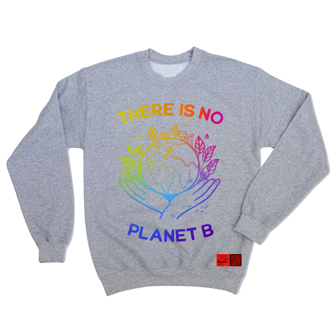 There Is No Planet B : Crewneck Sweatshirt