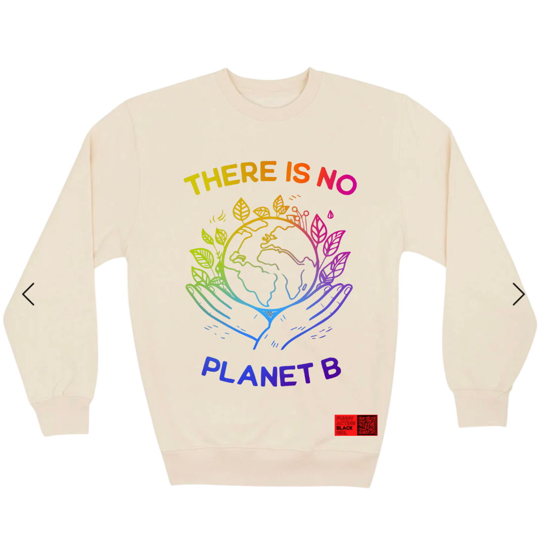 There Is No Planet B : Crewneck Sweatshirt